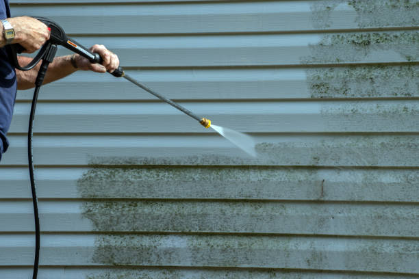 Best Soft Washing for Delicate Surfaces in Castle Point, MO